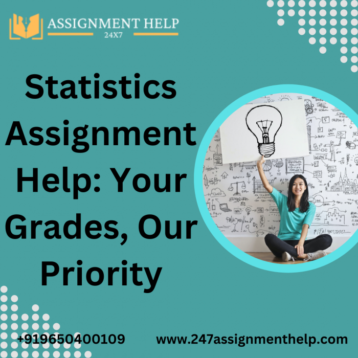 Statistics Assignment Help: Your Grades, Our Priority