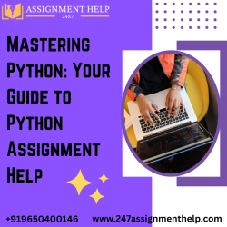 Mastering Python: Your Guide to Python Assignment Help