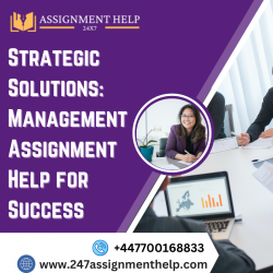 Strategic Solutions: Management Assignment Help for Success