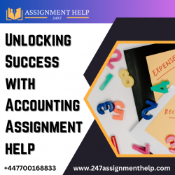 Unlocking Success with Accounting Assignment help