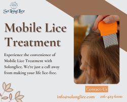 Effective Mobile Lice Treatment Services On-the-Go