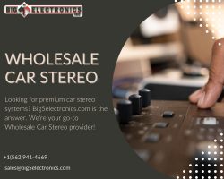 Are you looking for a wholesale car stereo? Contact us today