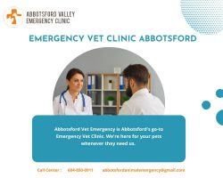 Cutting-Edge Emergency Vet Clinic in Abbotsford for Swift and Expert Care | Abbotsford Vet Emergency