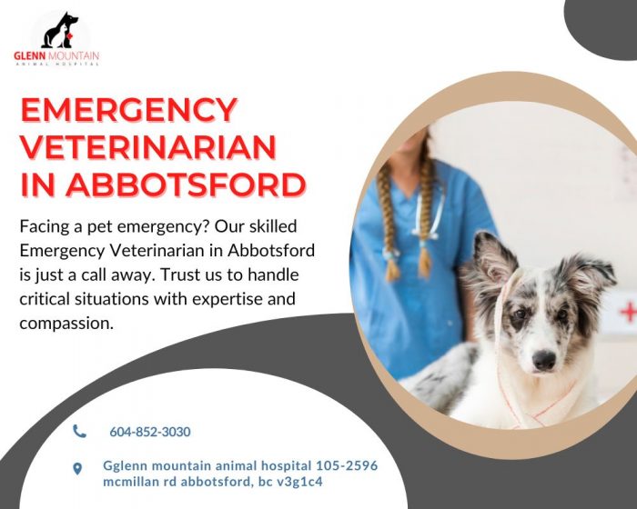 Emergency Veterinarian In Abbotsford is available to help your pets