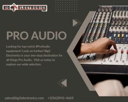 Experience Excellence in Pro Audio Solutions with Big 5 Electronics.