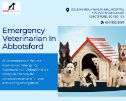 Emergency Veterinarian In Abbotsford is available to help your pets