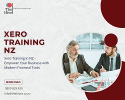 Comprehensive Xero Training in New Zealand – The Hives