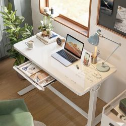 Empowering Workspaces with Cutting-Edge Electric Standing Desks