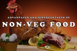 Advantages and Disadvantages of Non Veg Food