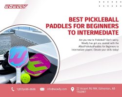 Find the Perfect Pickleball Paddles for Beginners to Intermediate Players on Wowlly.com