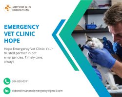 Premier Emergency Vet Clinic in Hope