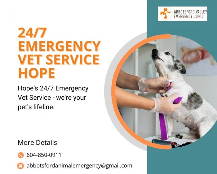 Reliable 24/7 Emergency Vet Service in Hope