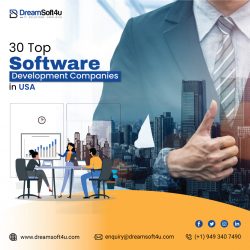 30 Top Software Development Companies in USA (2024)