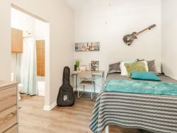 Discover Ideal Student Accommodation Dallas