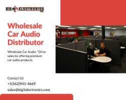 Big 5 electronics is the largest wholesale car audio distributor authorized for 40+ brands