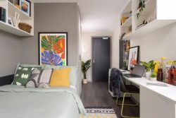 Discover Premier Student Housing in Houston