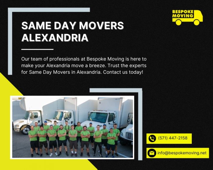 Same Day Movers in Alexandria – Book Now for Swift Moves!