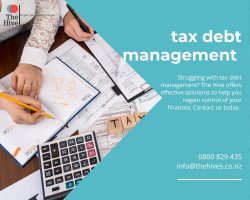 Effective Tax Debt Management Services – The Hives Rotorua