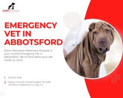 Emergency Vet In Abbotsford is available to help your pets