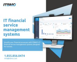 Optimize Efficiency with IT Financial Service Management Systems