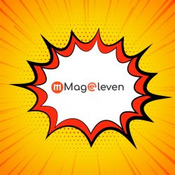 Magento 2 Extensions Services Provider Company – Mageleven
