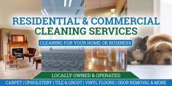 Affordable Cleaners in UK