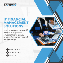 Empower Your Business with Comprehensive IT Financial Management Solutions
