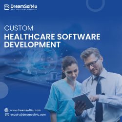 Custom Healthcare Software Development: Everything You Need to Know About