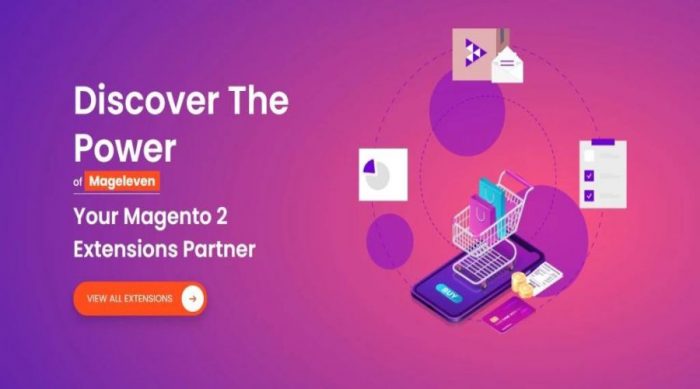 Why Should You Choose Magento 2 Extensions for your E-store?
