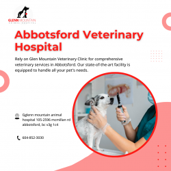 Abbotsford Veterinary Hospital is comfortable so pets can relax
