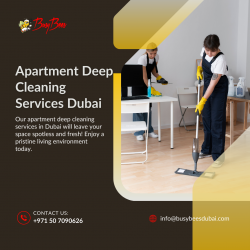 Experience Top-Quality Apartment Deep Cleaning Services in Dubai