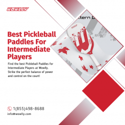 Discover the Top Pickleball Paddles for Intermediate Players on Wowlly.com
