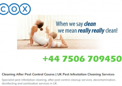 Affordable Cleaning Services﻿