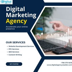 Digital Marketing Agency for Online Growth | Digital Agency Reseller