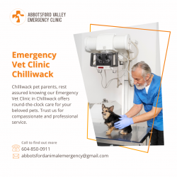 Premier Emergency Vet Clinic in Chilliwack