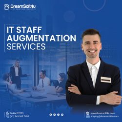 IT Staff Augmentation Services