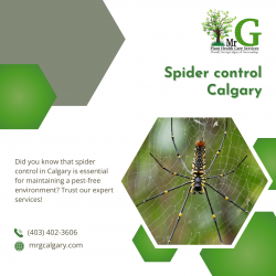 Find effective spider control solutions for your Calgary home.