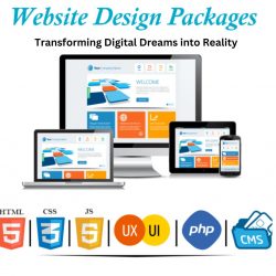 Affordable Website Design and Development Packages for Businesses
