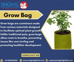 Premium Grow Bags for Plants: Sustainable and Efficient Solutions for Gardening