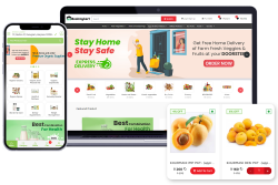 Transforming Shopping Experience with Grocery App Development Company