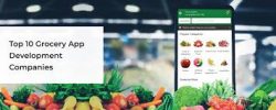 Convenient and User-Friendly Solutions for Grocery App Development Company