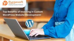 Top Benefits of Investing in Custom WordPress Website Development