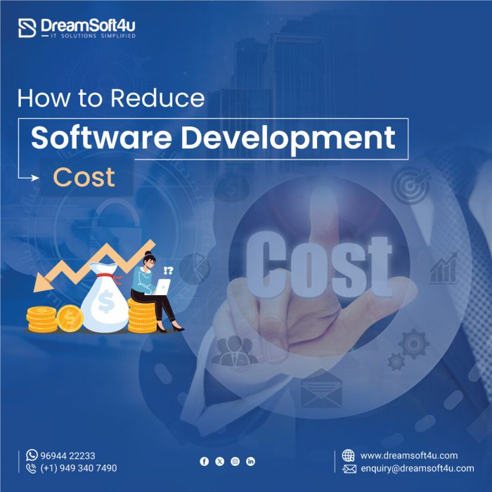 Proven Strategies to Reduce Software Development Costs