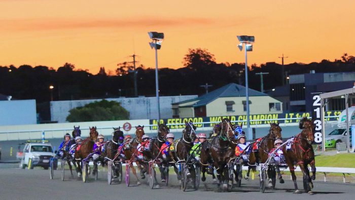 live harness racing in brisbane