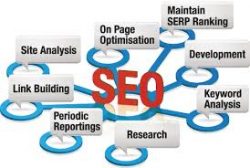 Empower Your Brand with Best SEO Company In Noida