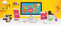 Choose Best Web Design Company in Noida for Business