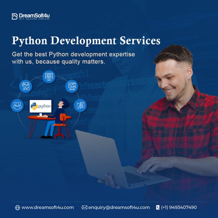 Custom Python Development Services for Your Business