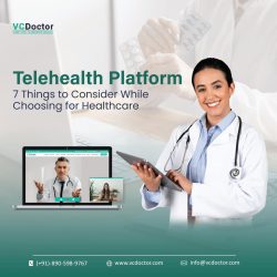 Telehealth Platform: 7 Things To Consider While Choosing Healthcare