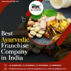 Discover the Best Ayurvedic Franchise Company for Your Business Endeavors