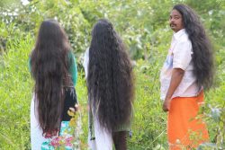 Discover the Benefits of Neelambari Hair Oil for Luxurious Locks